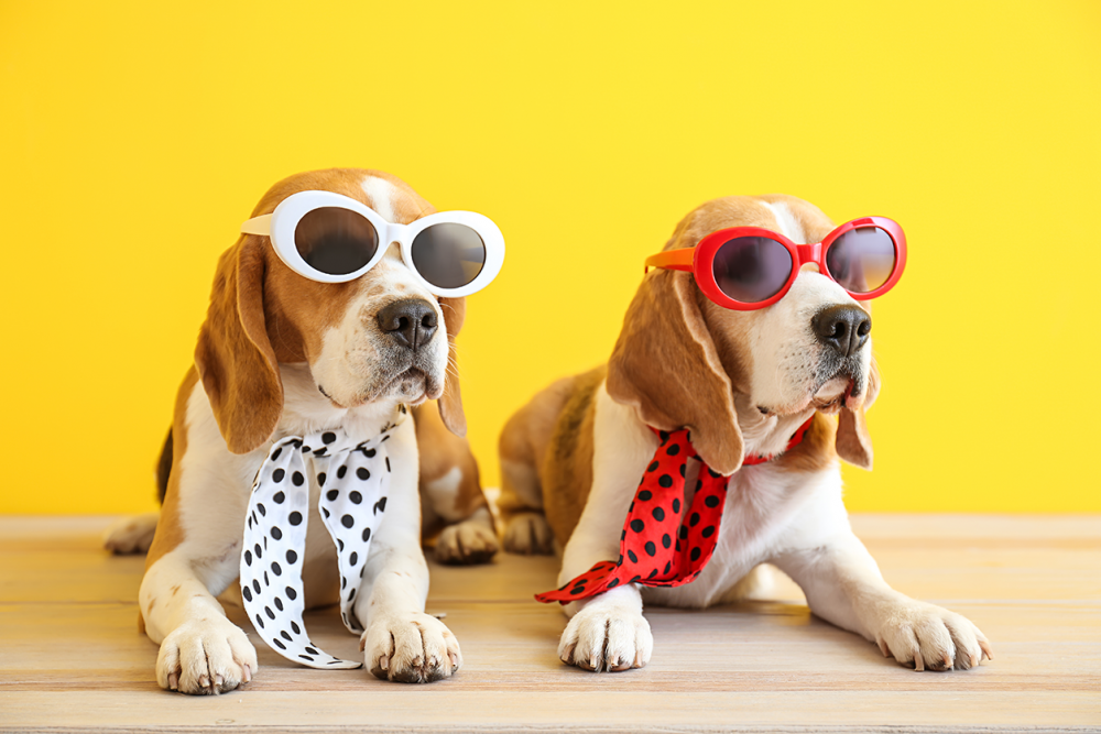AdobeStock_266490839.png